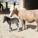 수명어린이공원 이미지