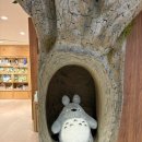 AK플라자 수원 | 🎋도토리숲 수원 AK플라자 후기 | 지브리 감성 가득한 하루✨