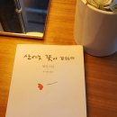 산에는꽃이피네