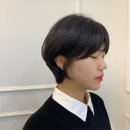 청수살롱 이미지