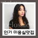 펠로살롱 이미지