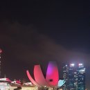 231126 Singapore Tour--------------4일차(SkyPark Observation Deck ) 이미지
