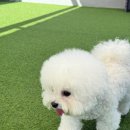 스테이펫_호텔 이미지