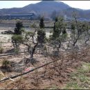 내동농장 이미지