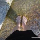 메이 캠프 이미지