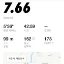 보말삼춘 이미지