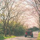 신풍리 사무소 이미지