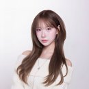 채도 네이버블로그