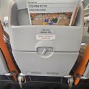 원오브어카인드 | 차:부산>싱가폴 제주항공/창이공항/lyf funan Singapore 원오브어카인드 스튜디오 후기/ 싱가포르호텔추천