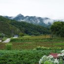 횡성 읍사무소 이미지