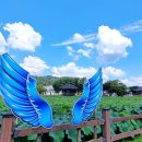 태인면사무소 | 정읍 여행 7월 가볼만한곳- 연꽃 향연 가득 &#39;피향정&#39;