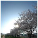 천변로 이미지