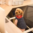 함께하는 동물병원 이미지