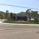 푸푸밸리푸드 | [이용후기] 강화루지 강화씨사이드리조트에서 루지 타봤어요