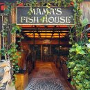 W.S.P house | 맛집 마마스 피쉬 하우스 예약없는 워크인 웨이팅 주차 가격 메뉴판 내돈내산 후기 (MAMA'S FISH HOUSE)