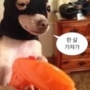 22살 후기