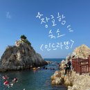 펜션텔 | 강원도여행 삼척 장호항 스노쿨링 3분거리 &lt;인드라망 펜션&gt; 관리 잘된 가성비 숙소 강추