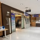 선기로2-8 | 갑상선항진증 진단부터 6개월 치료 후기: 메티마졸 복용 체중 증가TSH/T3/T4 수치 향상 결과 총정리