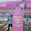 2024 알로하 뮤직 페스티벌 후기 (feat.연이네라탄)