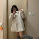 쪼이참치 | [Review] 온트 알파카 하프 코트, 윤슬샵 시어링 리버시블 코트 후기
