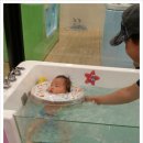 베이비엔젤스 이미지