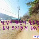 (주)세양물류