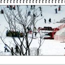 오크벨리 이미지