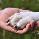 행복플러스동물병원 이미지