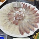 광어총각 생굴처녀 이미지