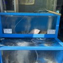 일출회물회 이미지