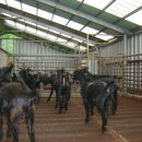 현석농장 이미지