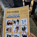 춘천 가정교회 외 | [부부의날 기념] 춘천시가족센터와 함께한 남이섬 힐링 여행 후기