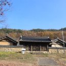 부남면 구천숲 이미지