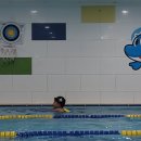 네오키즈스윔 이미지