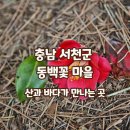 (사)정보화마을중앙협회 이미지