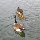 물나들이 이미지