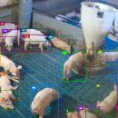 일이축산 이미지