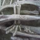 포유테크 이미지