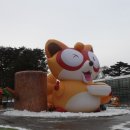 너구리 이미지