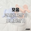 코끼리셀프 | 모윰 치발기로 이앓이 시기 현명하게! 코끼리 치발기와 포니 치발기 사용시기별 후기