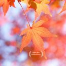 일본어회화2 이미지