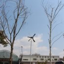 여주곤충박물관 이미지