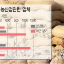 주식회사 메이져