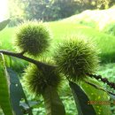 초록산 산림욕장 2 이미지