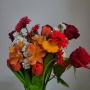 장암농협 농산물유통센터 | 창원 근교 꽃시장 이용후기: 김해 화훼유통센터 vs 부산화훼공판장 비교