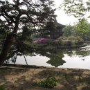 물놀이가자 이미지