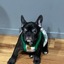 엠에이치핏 이미지