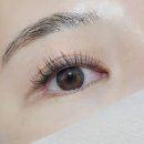 송파 잠실속눈썹 &#39;뷰티해빛&#39; 속눈썹연장 후기