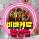 비바케밥 양산점 스리라차 치킨 케밥 포크 타코 추천 후기