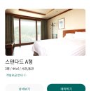 웰리힐리파크 | 웰리힐리파크 리조트, 워터플래닛 패키지 후기